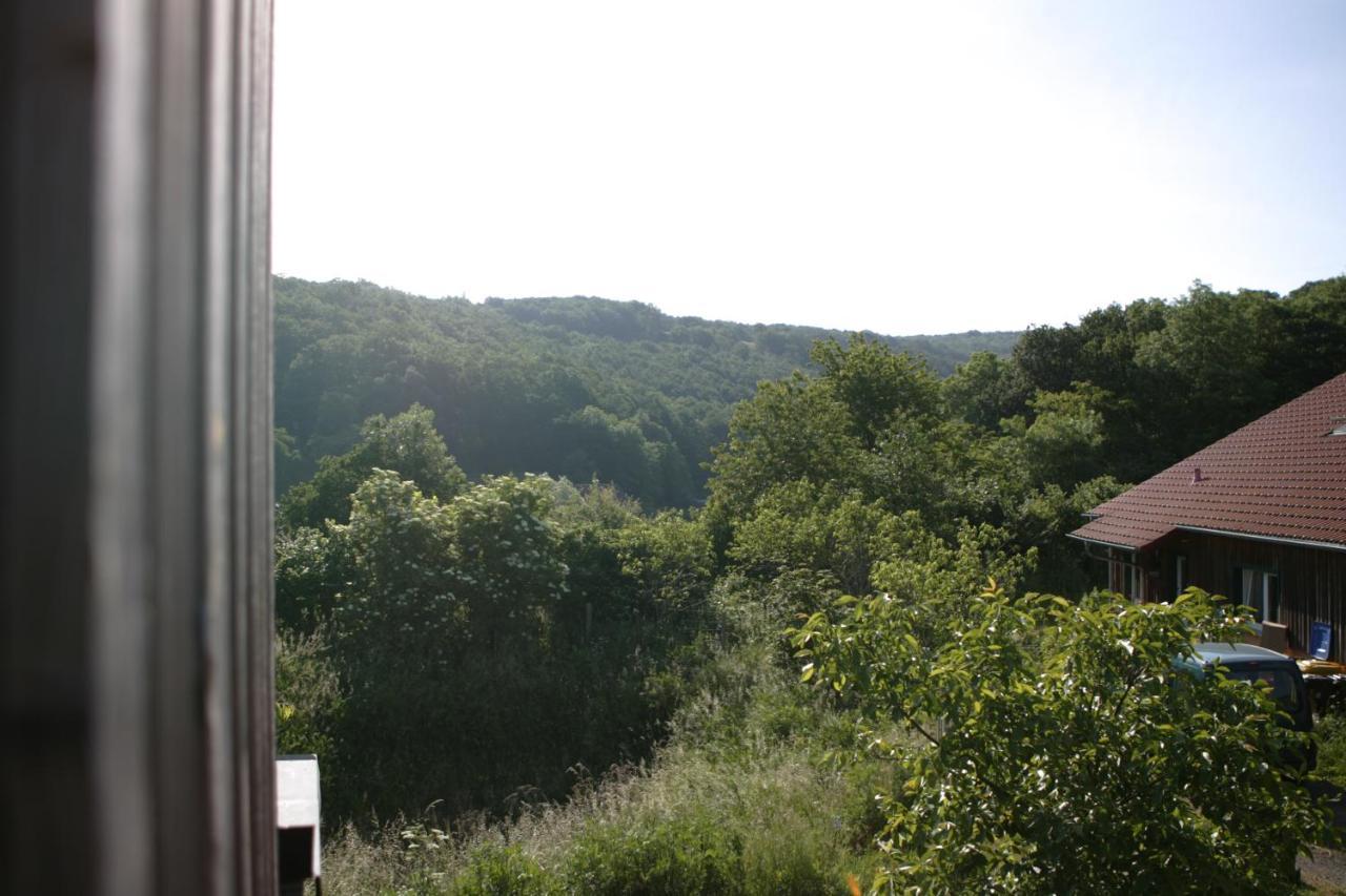 Appartamento Rech Hof Urlaub Auf Dem Bauernhof Schalkenbach Esterno foto