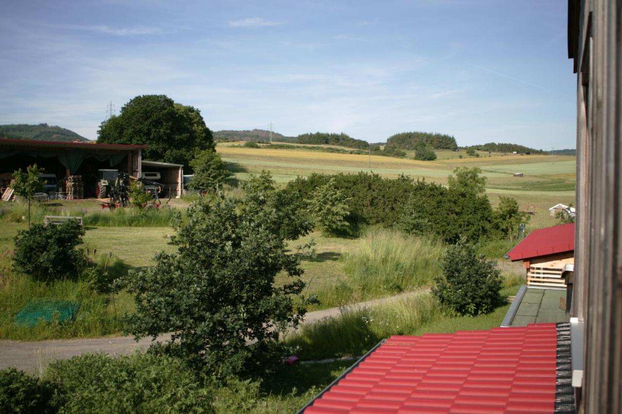 Appartamento Rech Hof Urlaub Auf Dem Bauernhof Schalkenbach Esterno foto