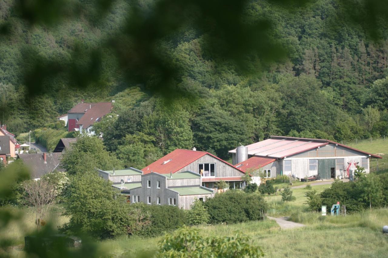 Appartamento Rech Hof Urlaub Auf Dem Bauernhof Schalkenbach Esterno foto