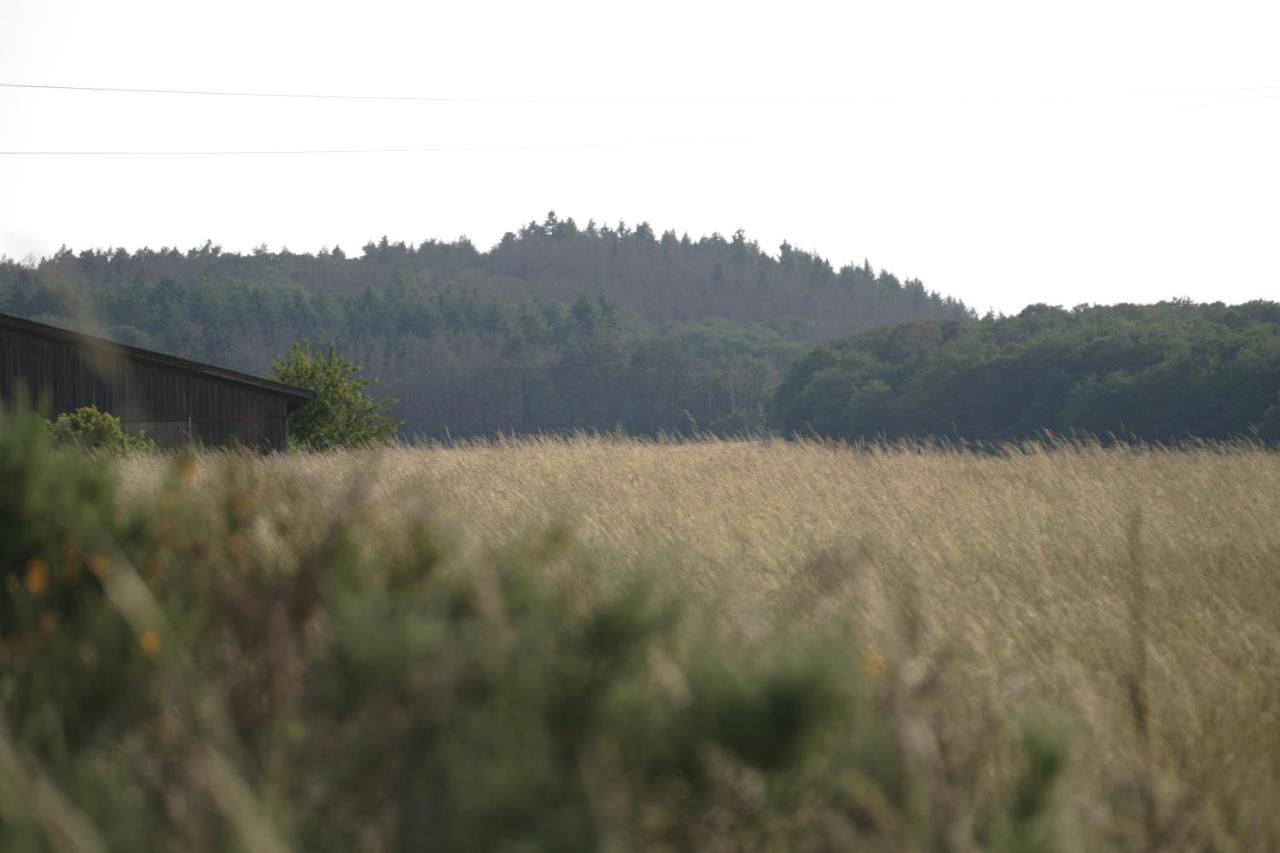 Appartamento Rech Hof Urlaub Auf Dem Bauernhof Schalkenbach Esterno foto