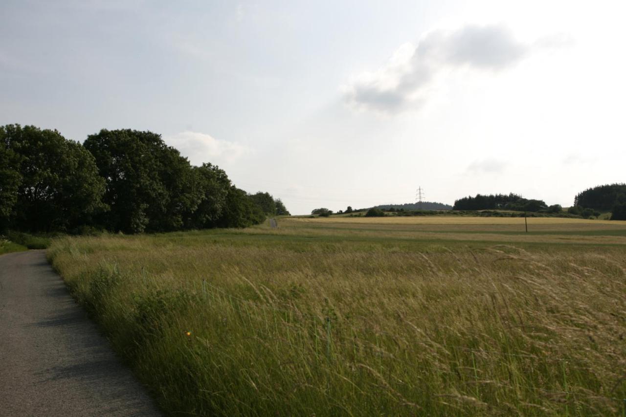 Appartamento Rech Hof Urlaub Auf Dem Bauernhof Schalkenbach Esterno foto