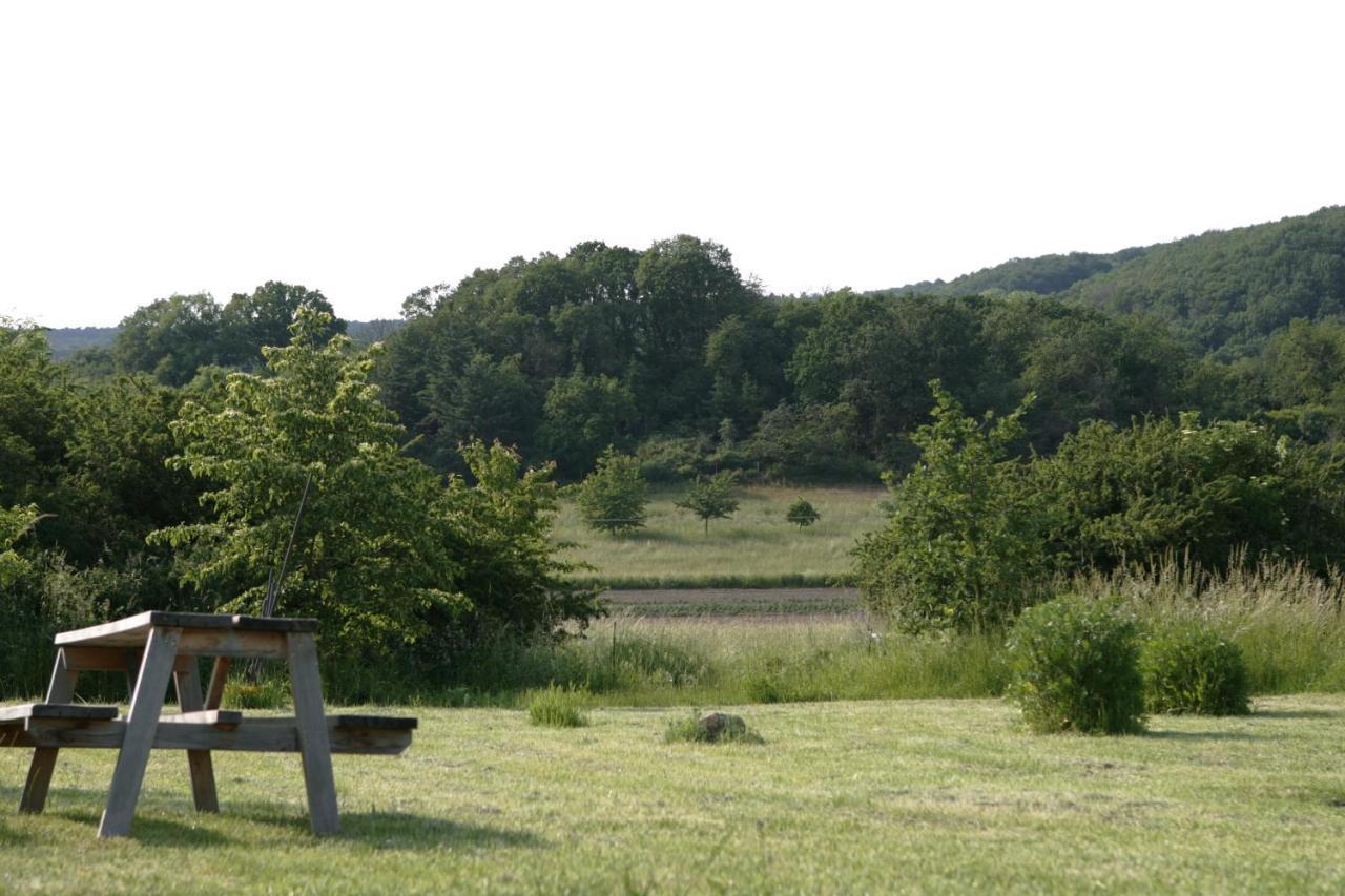 Appartamento Rech Hof Urlaub Auf Dem Bauernhof Schalkenbach Esterno foto