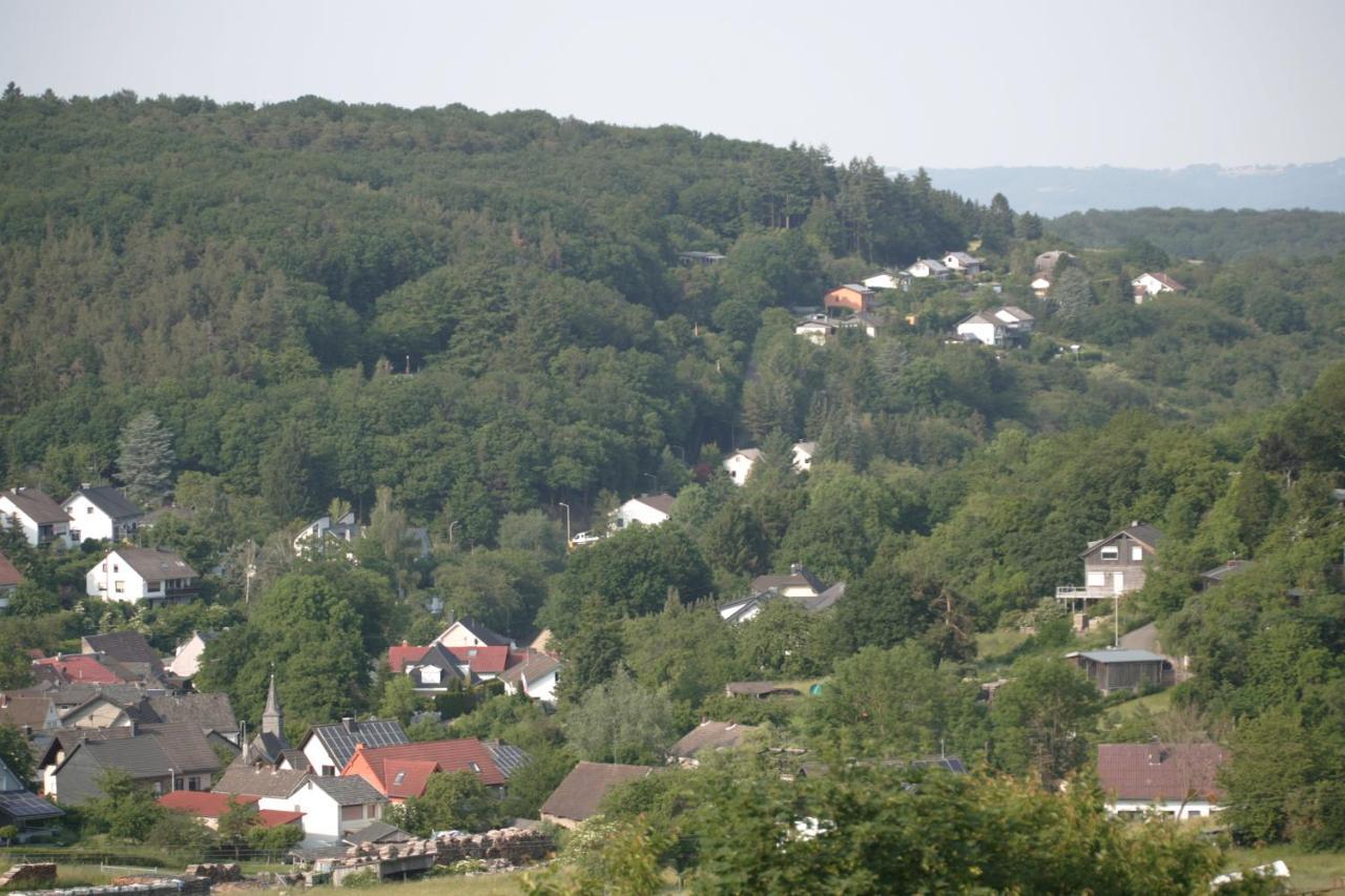 Appartamento Rech Hof Urlaub Auf Dem Bauernhof Schalkenbach Esterno foto
