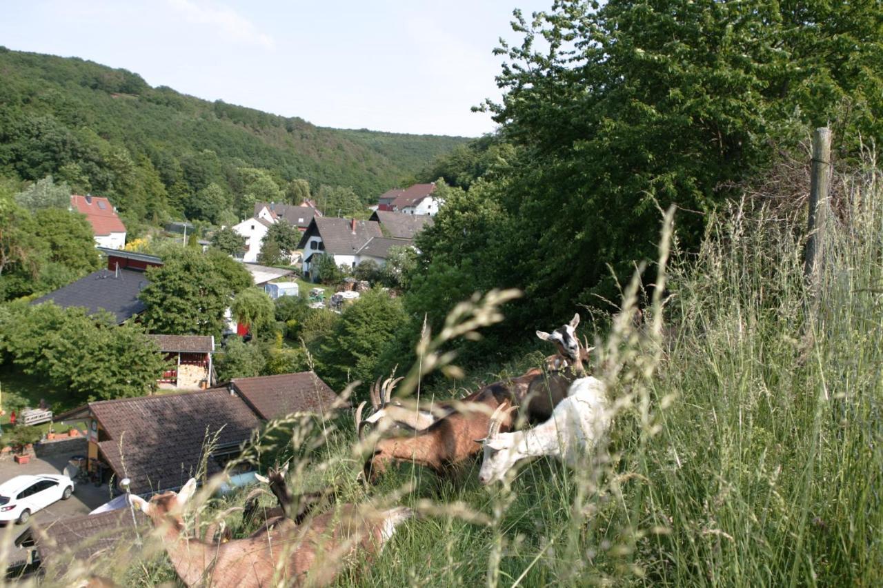 Appartamento Rech Hof Urlaub Auf Dem Bauernhof Schalkenbach Esterno foto